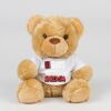 Bear in a t-shirt Thumbnail